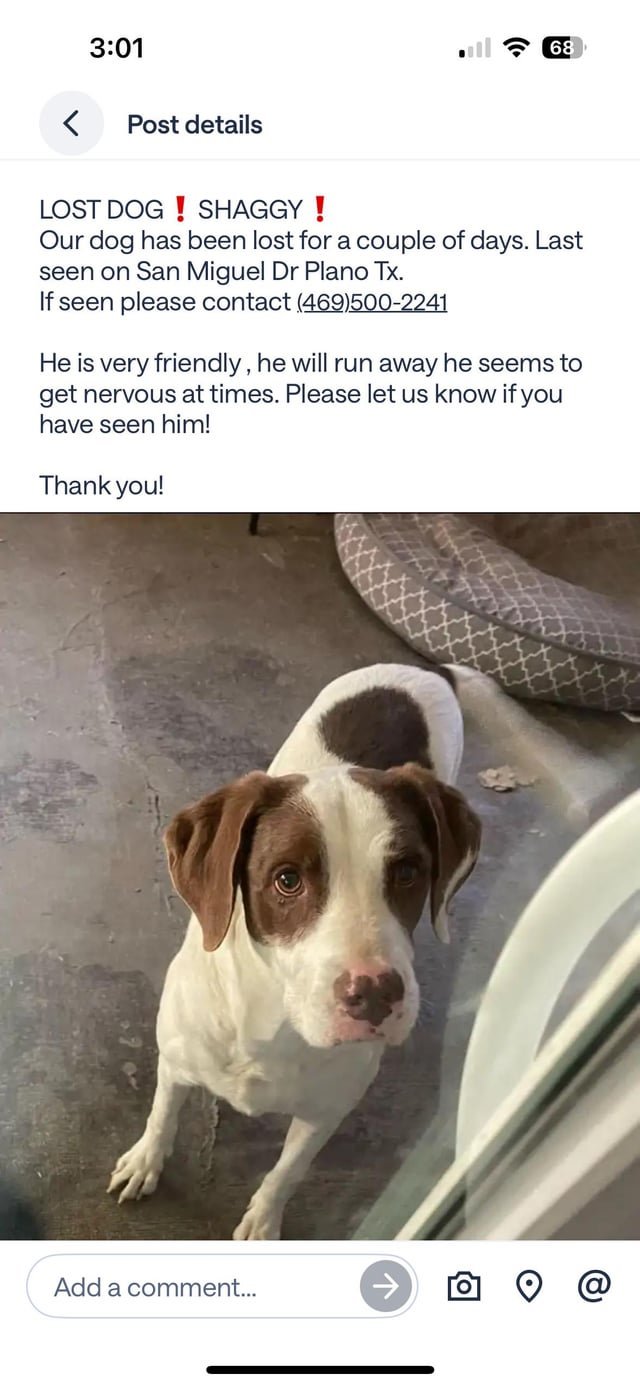 Lost Dog in Plano, Texas — Looking for Lost dog