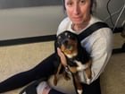 Found Dog in Portland, Oregon — listing photo