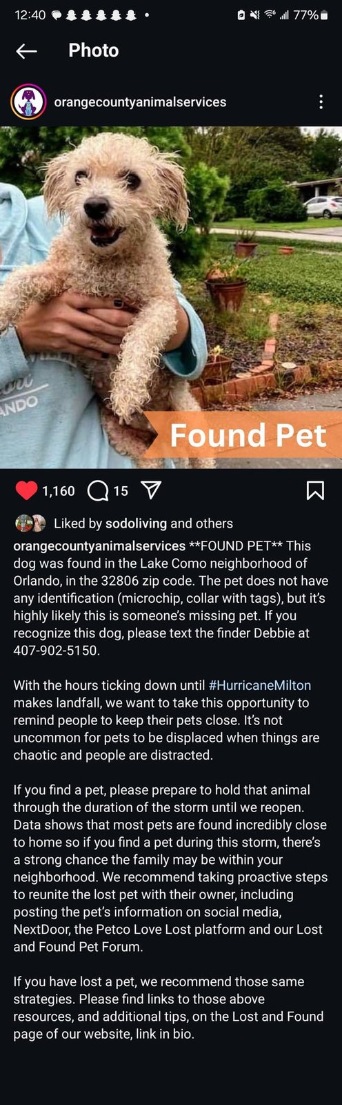 Lost Pet in Orlando, Florida — PSA if you find lost pets