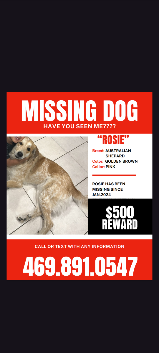 Lost Dog in Dallas, Texas — listing photo