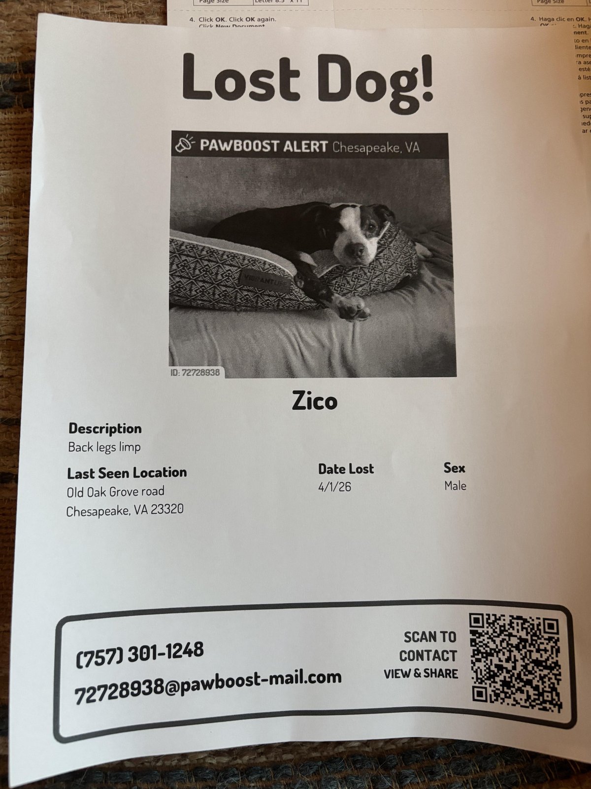 Lost Dog in Chesapeake, Virginia — listing photo
