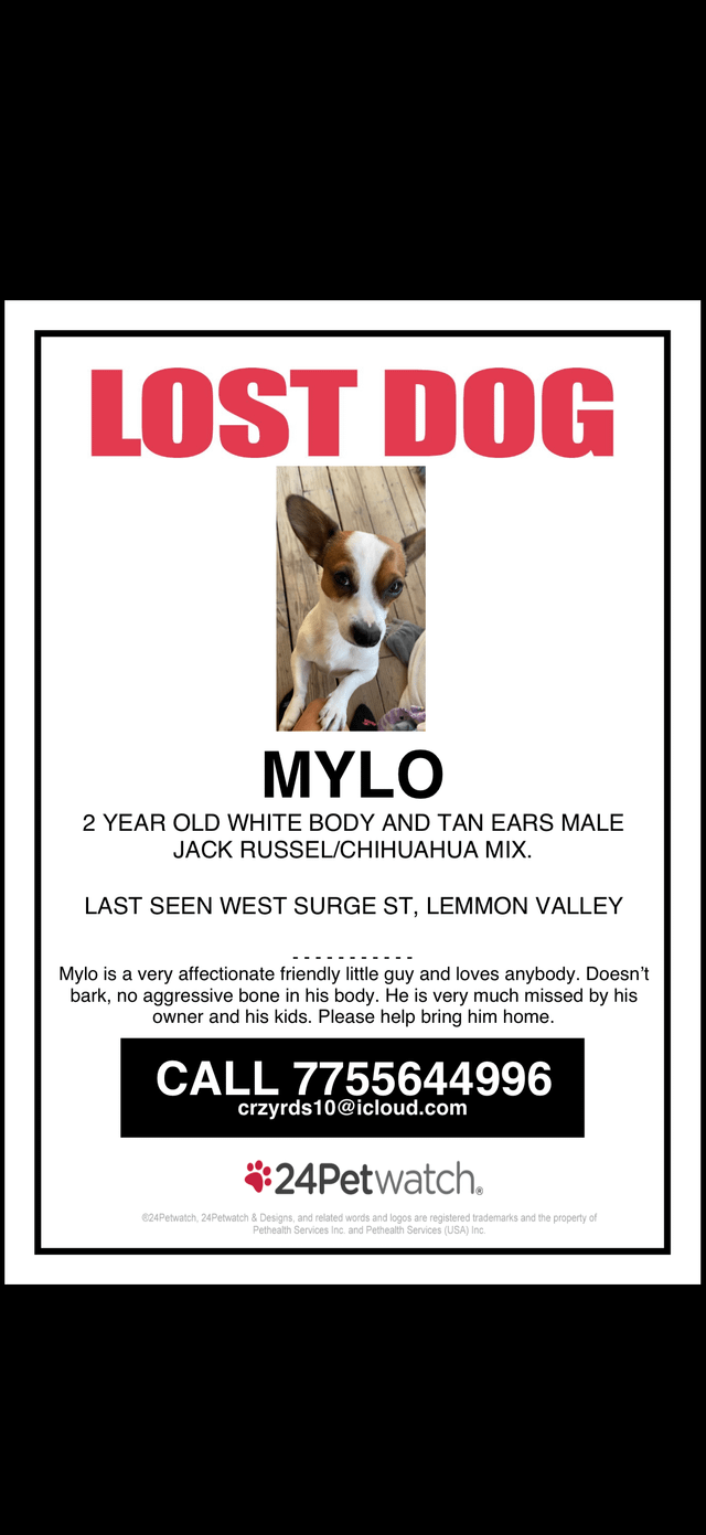 Lost Dog in Reno, Nevada — listing photo
