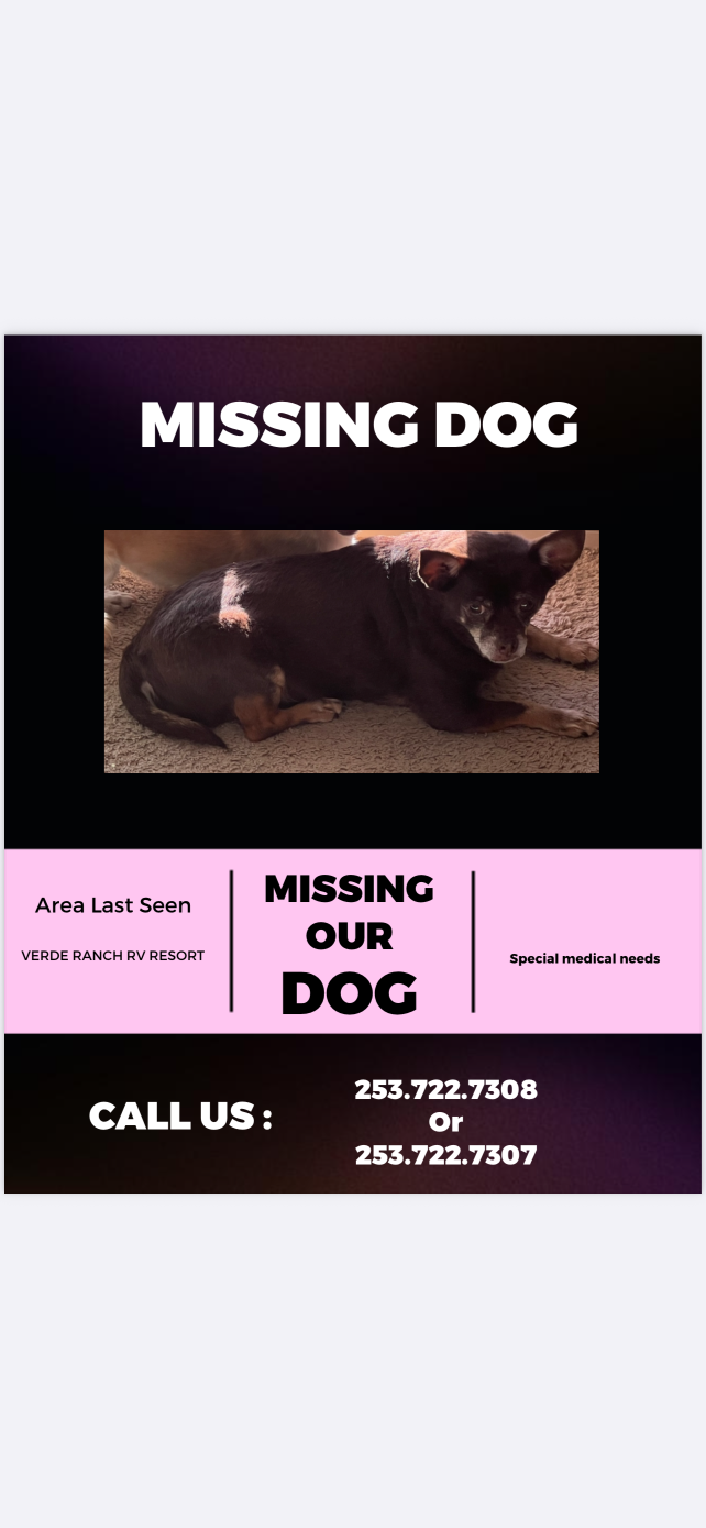 Lost Dog in Camp Verde — listing photo