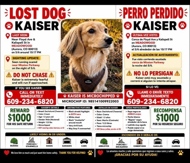 Lost Dog in Denver, Colorado — …desperately posting for my friends missing dog Kaiser.