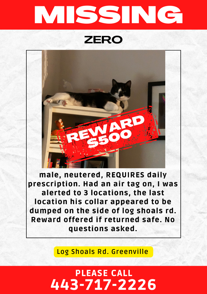 Lost Cat in Greenville, South Carolina — listing photo