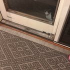lost cat in Milwaukee, Wisconsin