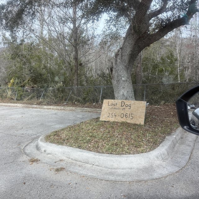 Lost Dog in Jacksonville, Florida — Saw this lost dog sign today