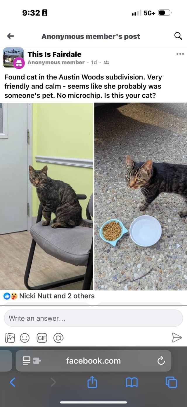 Found Cat in Louisville, Kentucky — Does anyone recognize this vet’s office?