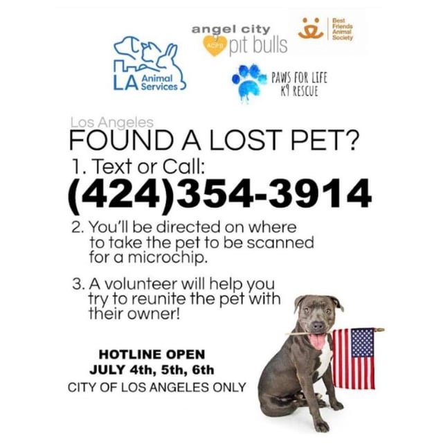 Lost Dog in Los Angeles, California — If you find a lost pet this 4th of July…