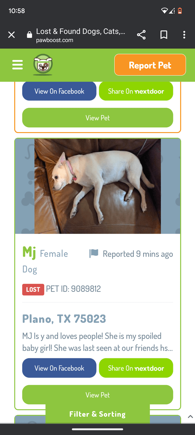 lost dog in Plano, Texas