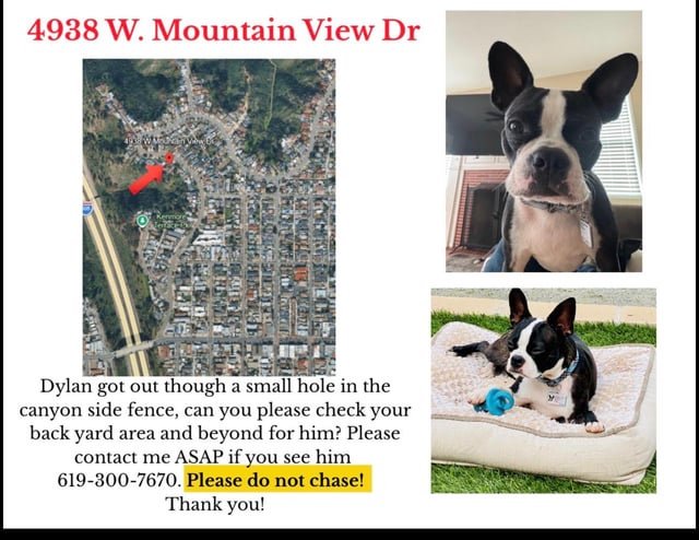 Lost Pet in San Diego, California — listing photo