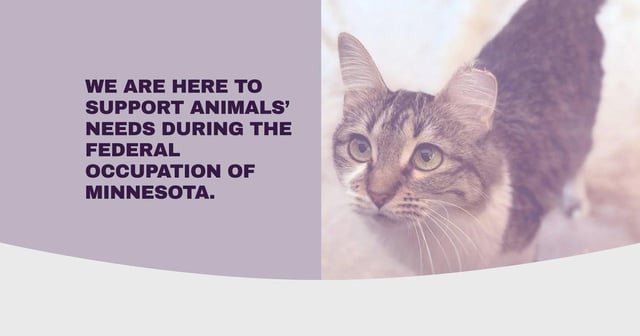 Pet alert in Minneapolis, Minnesota — ICE Hurts Animals Too