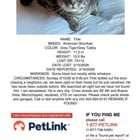 Lost Cat in Oklahoma City, Oklahoma — listing photo
