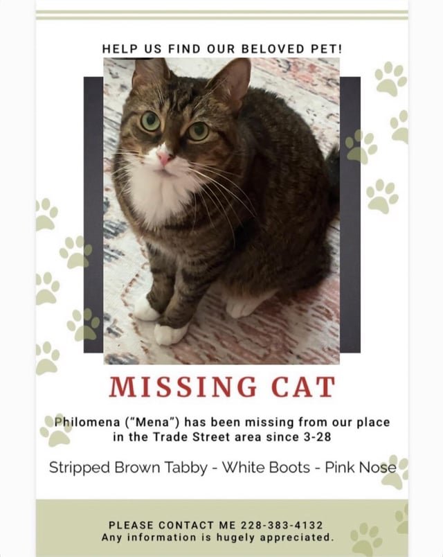 Lost Cat in Charlotte, North Carolina — listing photo