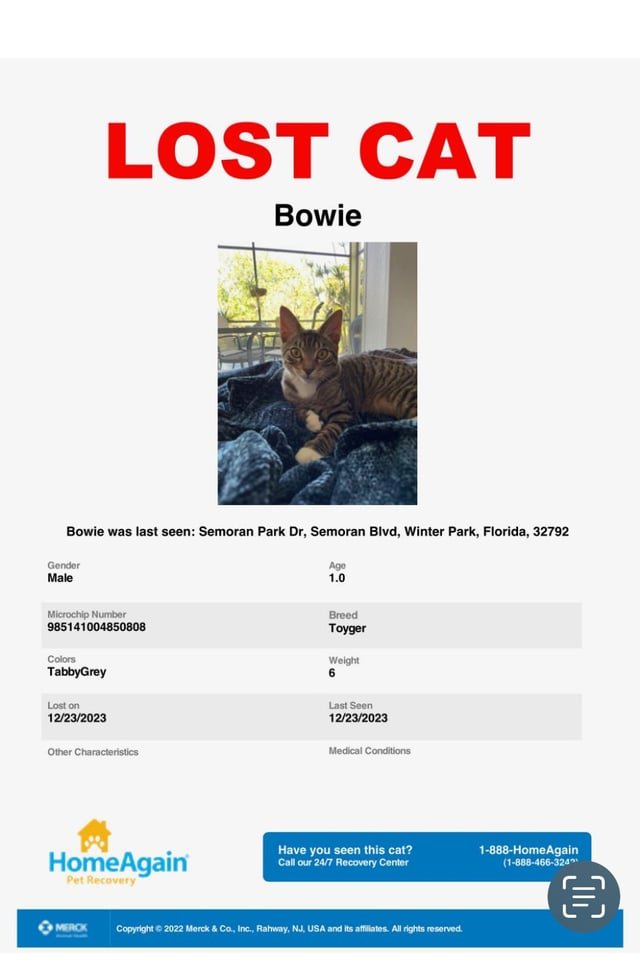 lost cat in Bowie, Maryland
