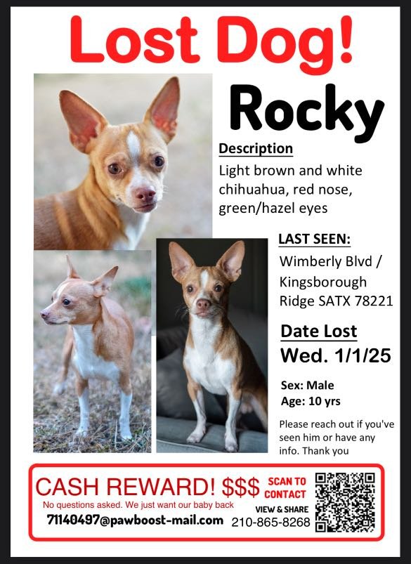 Lost Dog in San Antonio, Texas — listing photo