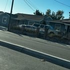 Lost Dog in San Jose, California — listing photo