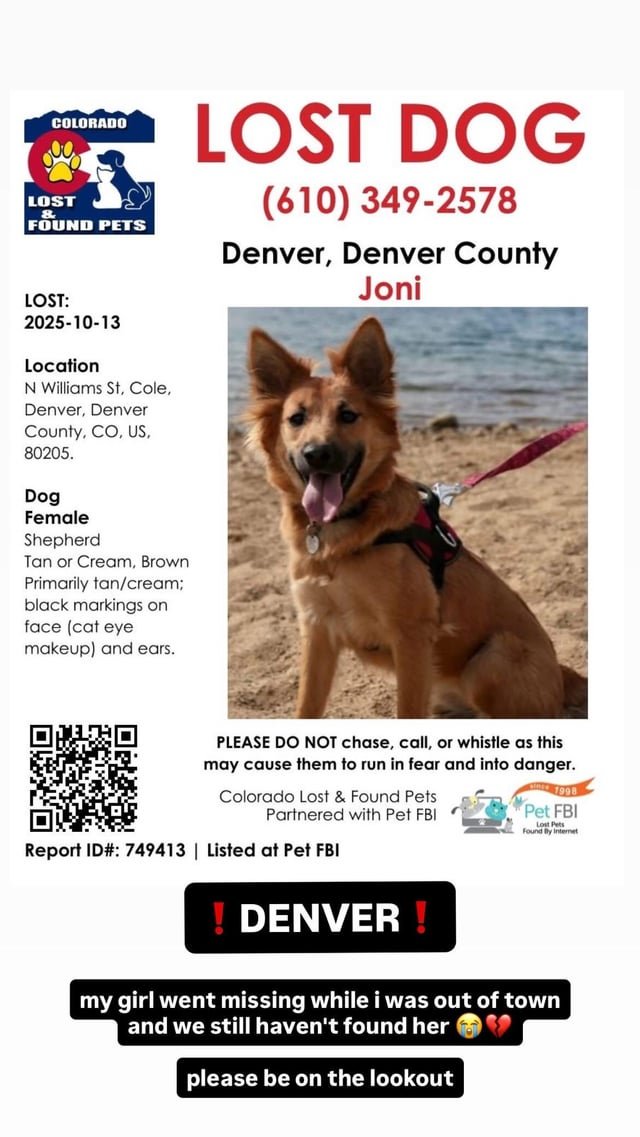 Lost Dog in Denver, Colorado — Help find my puppy PLEASE