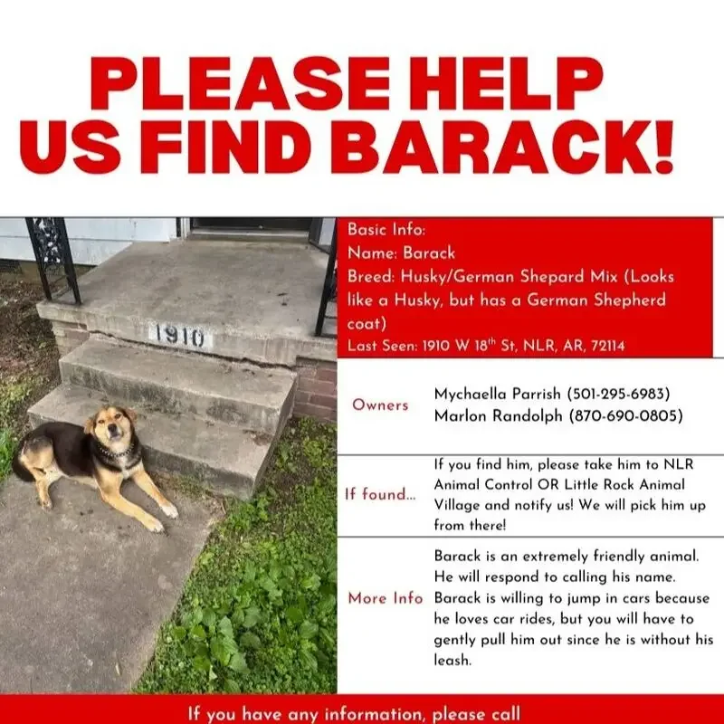 found dog in Lake Charles, Louisiana