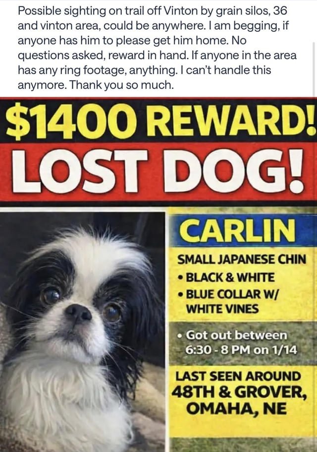 Lost Pet in Omaha, Nebraska — listing photo