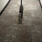 Pet alert in Denver, Colorado — Cat lost in apartment building near Pearl and Colfax