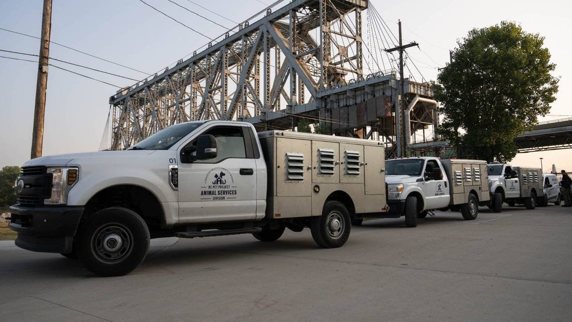 Pet alert in Kansas City, Missouri — KC Pet Project sued for negligence in November fatal dog attack, according to court records