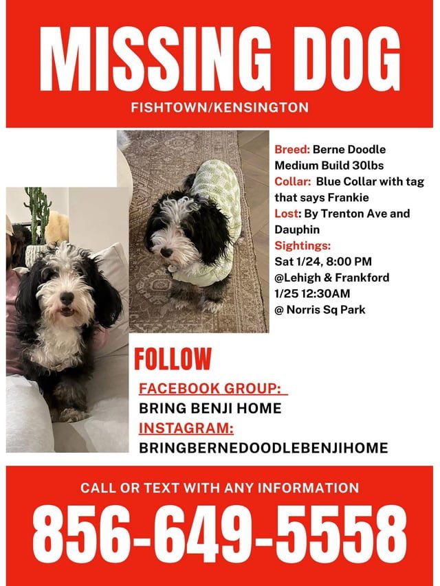 Lost Dog in Philadelphia, Pennsylvania — Help find lost dog Benji!