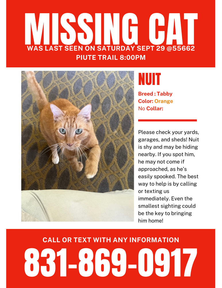 Lost Cat in Yucca Valley — listing photo