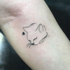 Lost Pet in Albuquerque, New Mexico — Albuquerque fine line tattoo