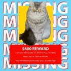 Lost Cat in El Paso, Texas — listing photo