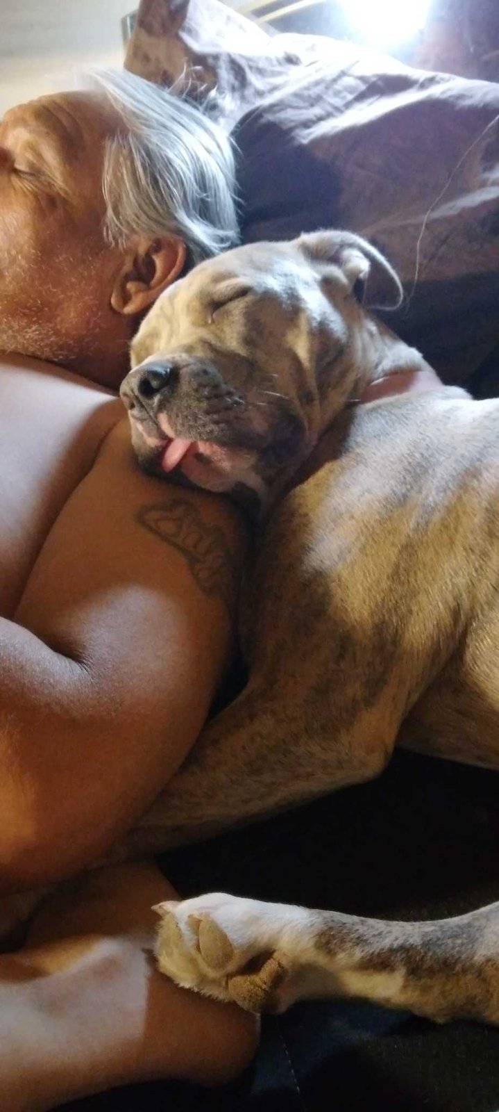 Lost Dog in Pecos — listing photo