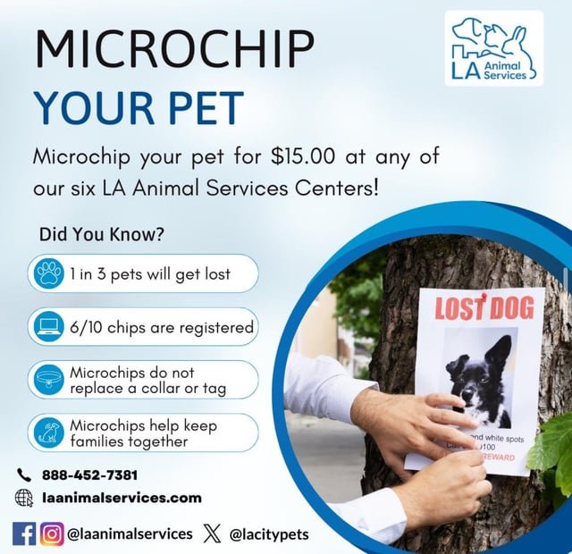 Pet alert in Los Angeles, California — Animal services budget being slashed - now is the best time to microchip your pets!