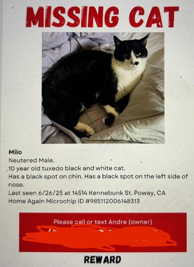 Lost Cat in San Diego, California — listing photo