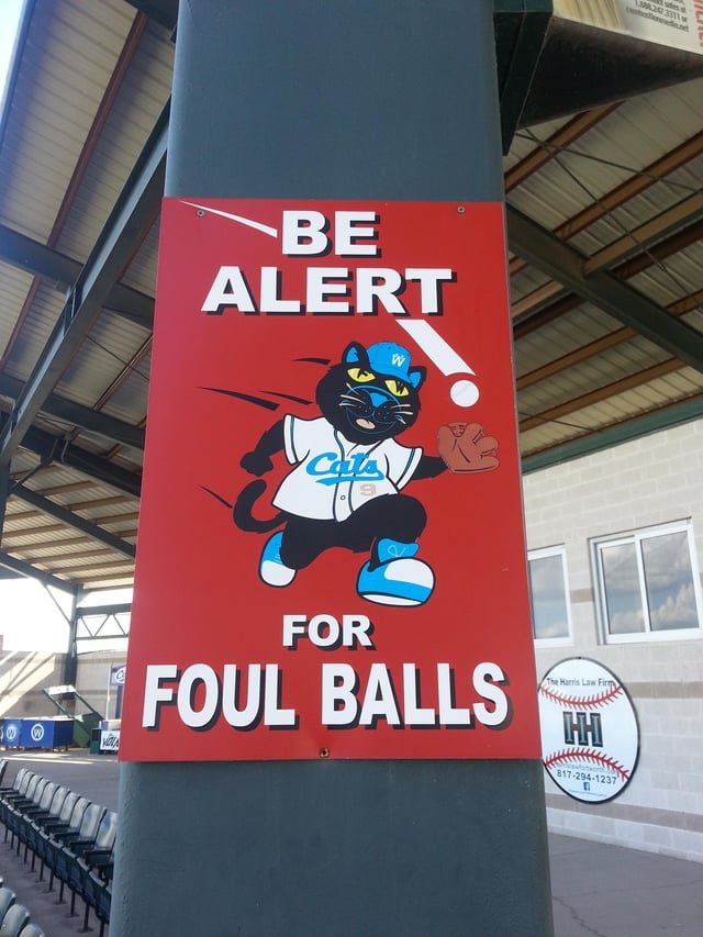 Lost Cat in Fort Worth, Texas — I miss games at LaGrave Field with the Cats