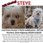 Lost Dog in Louisville, Kentucky — listing photo
