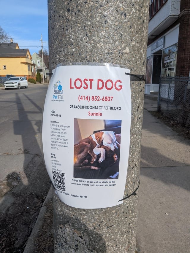 Lost Dog in Milwaukee, Wisconsin — listing photo