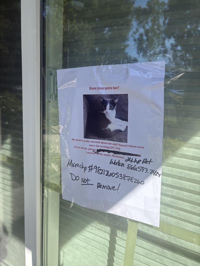 lost cat in Irvine, California