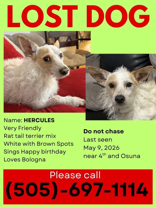 Lost Pet in Albuquerque, New Mexico — listing photo