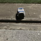 found cat in Houston, Texas