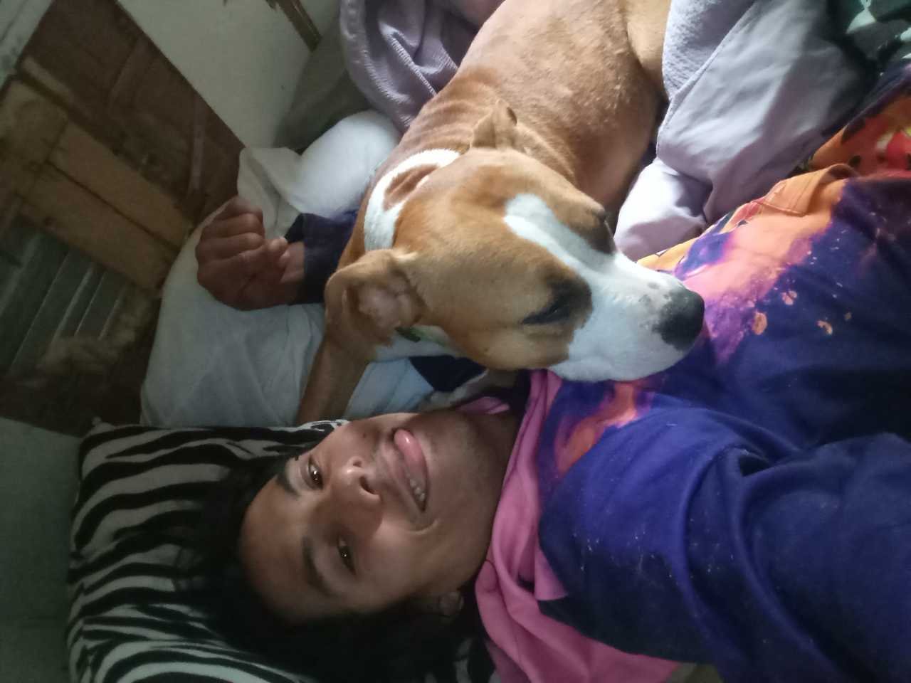 Lost Dog in Austin, Texas — listing photo