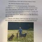 Lost Dog in Bellingham, Washington — listing photo