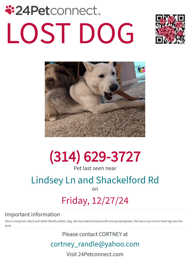 Lost Dog in St. Louis, Missouri — listing photo