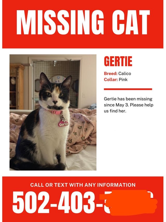 lost cat in Louisville, Kentucky