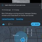 Lost Dog in Los Angeles, California — listing photo