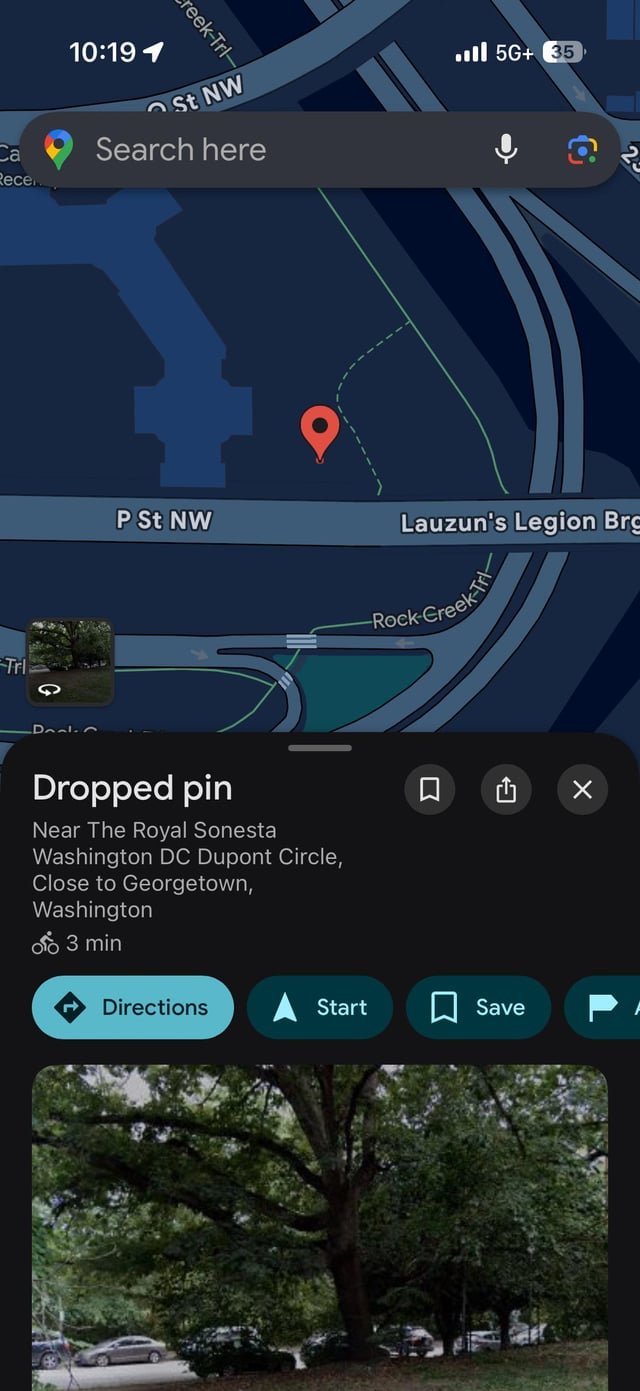 Lost Cat in Washington, District of Columbia — listing photo