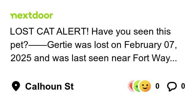 Lost Cat in K — listing photo