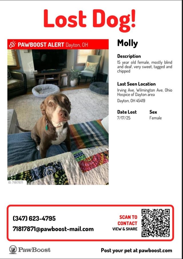 lost dog in Dayton, Ohio