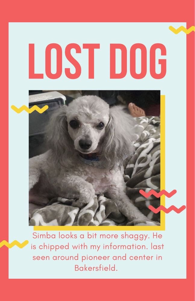 Lost Dog in Bakersfield, California — listing photo