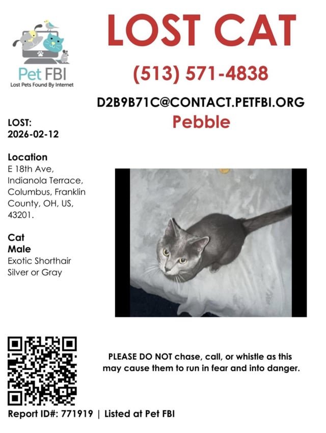 Lost Cat in Columbus, Ohio — My cat is missing. please help me find him. His name is Pebble, he responds to it. We have no clue…