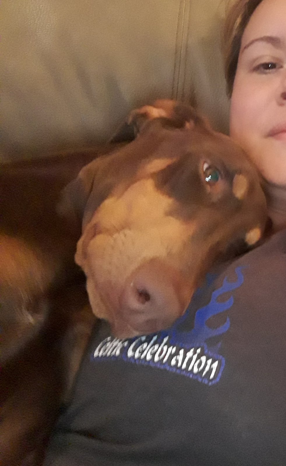 Lost Dog in Horizon City — listing photo